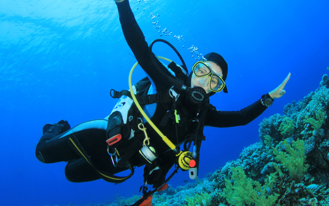 Underwater Activity in Kalba